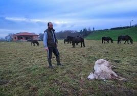 Estas son las cinco noticias del día en Cantabria