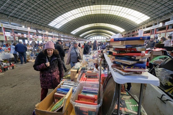 Una mujer rebusca en un puesto de libros