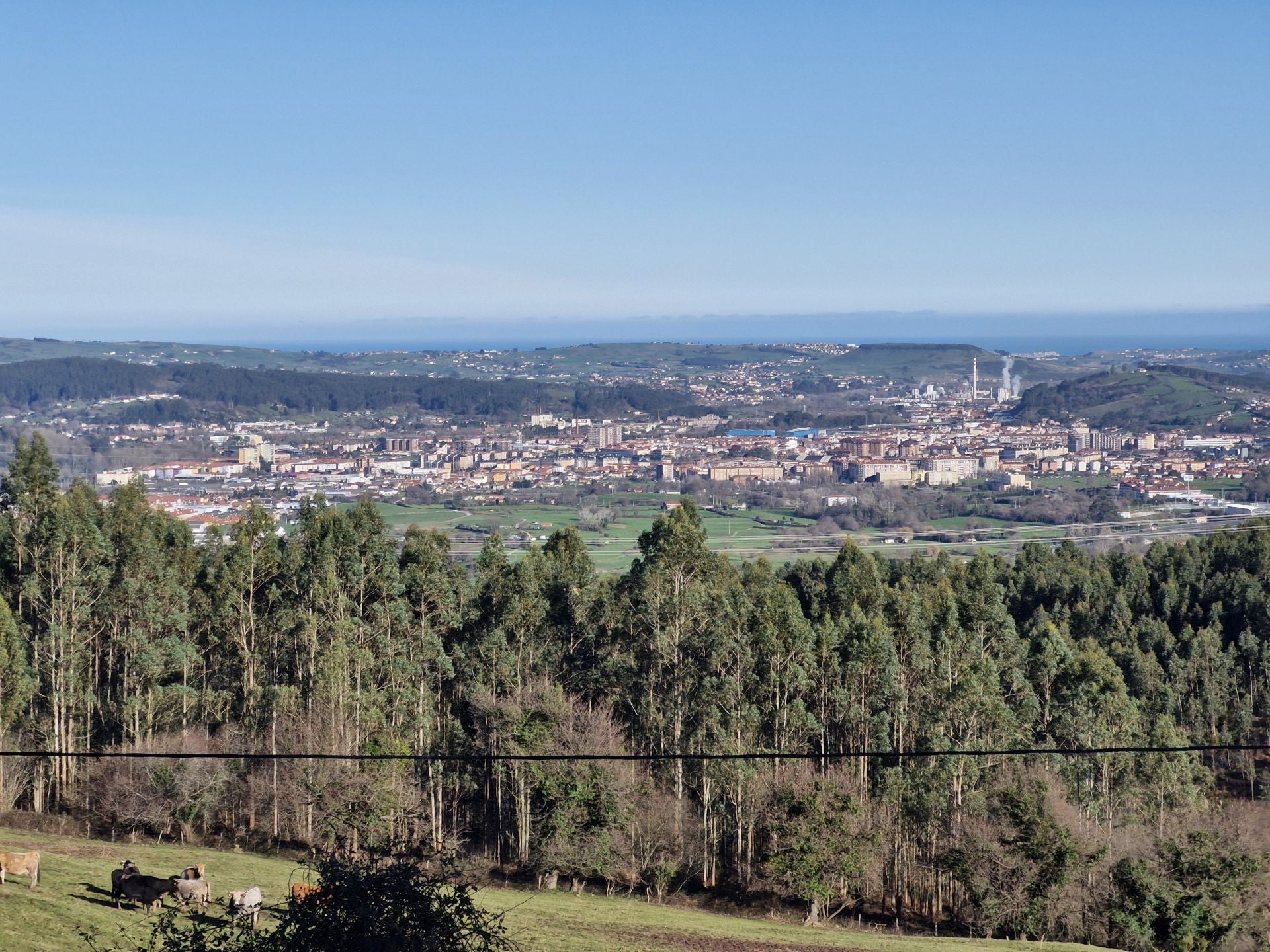 Los primeros claros entre los eucaliptos permiten unas buenas vistas de Torrelavega. 