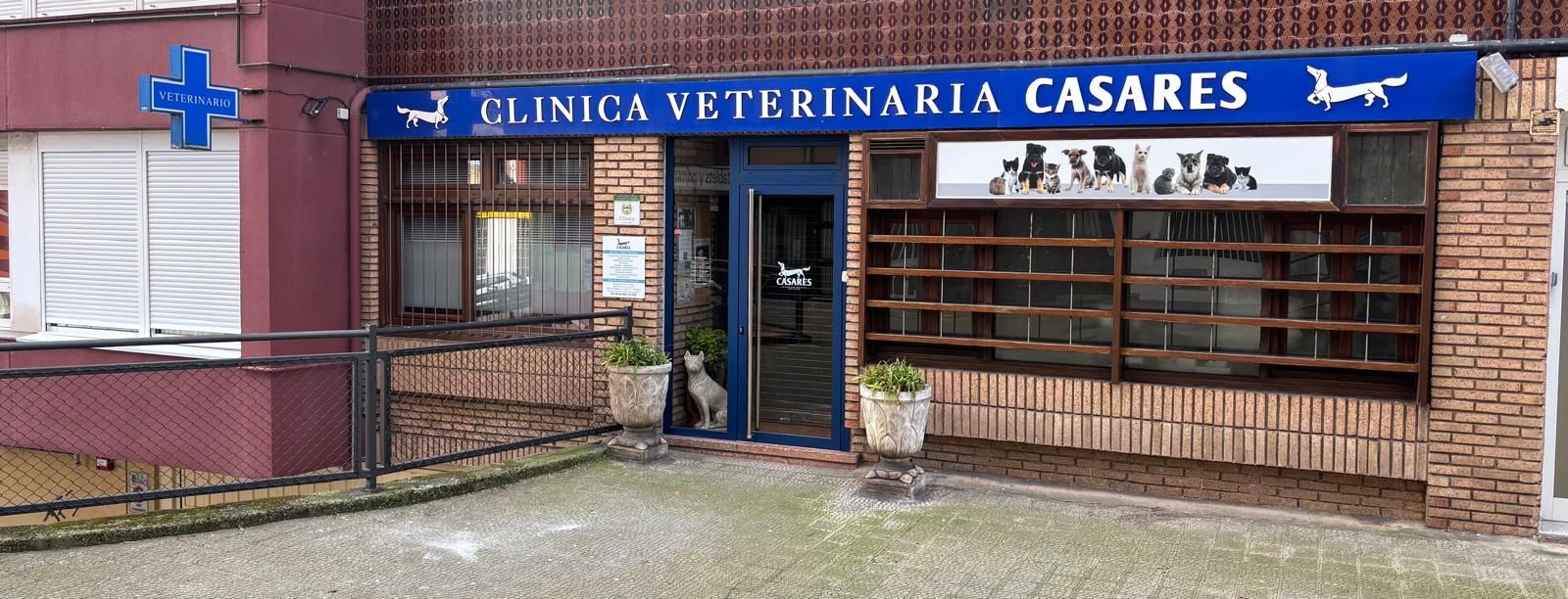 Clínica Veterinaria Casares, en Santander.