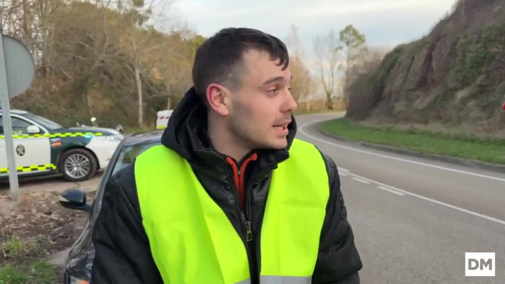 Atropellado un lobo entre Cabezón y Comillas