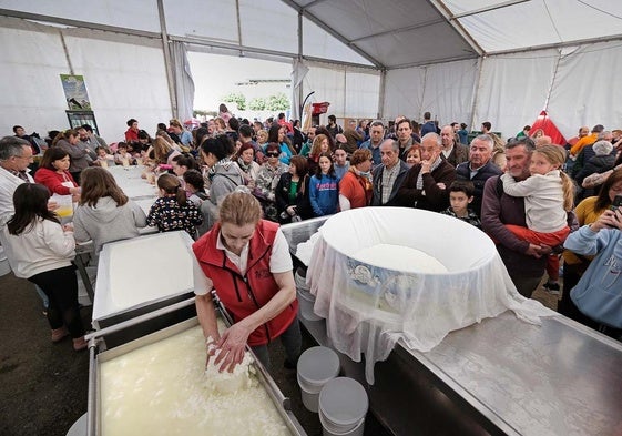 El queso fresco ha pesado 500 kilos