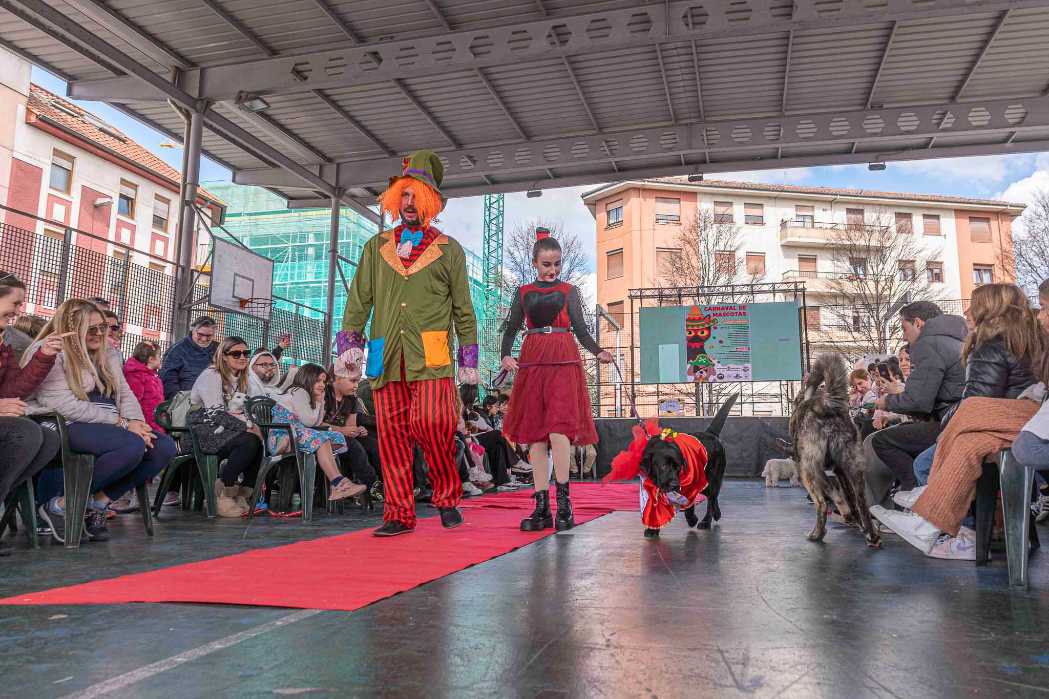 Dos dueños de mascotas disfrazados a juego con sus canes. 