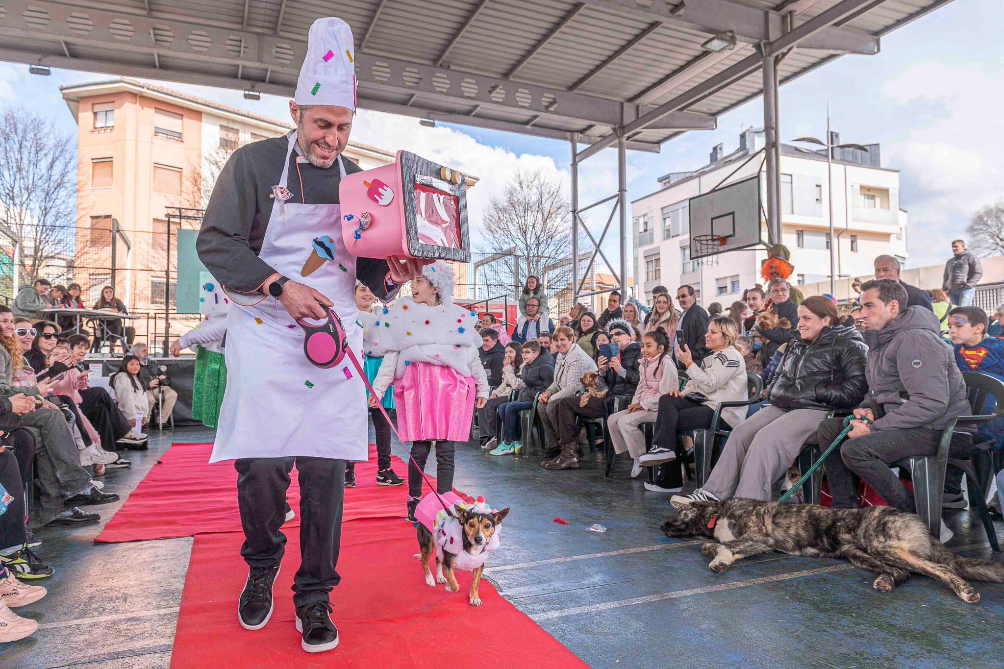 Un chef repostero, su mascota y varias magdalenas detrás ante la atenta mirada de los espectadores. 