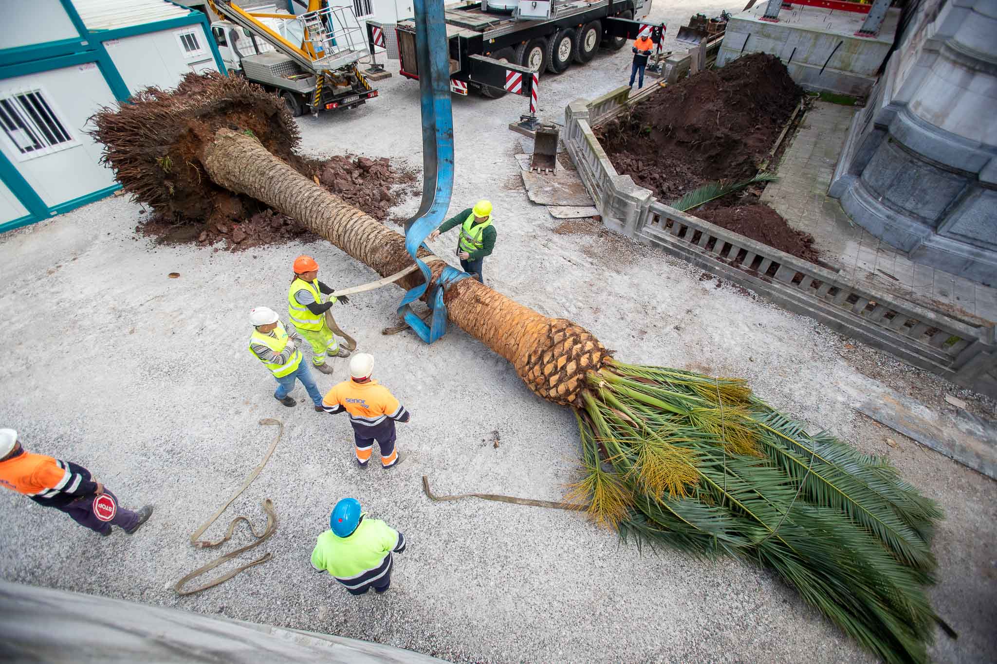 La maquinaria ha extraído en primer lugar la más grande -de siete metros-, que es la que estaba más cerca del edificio de Correos