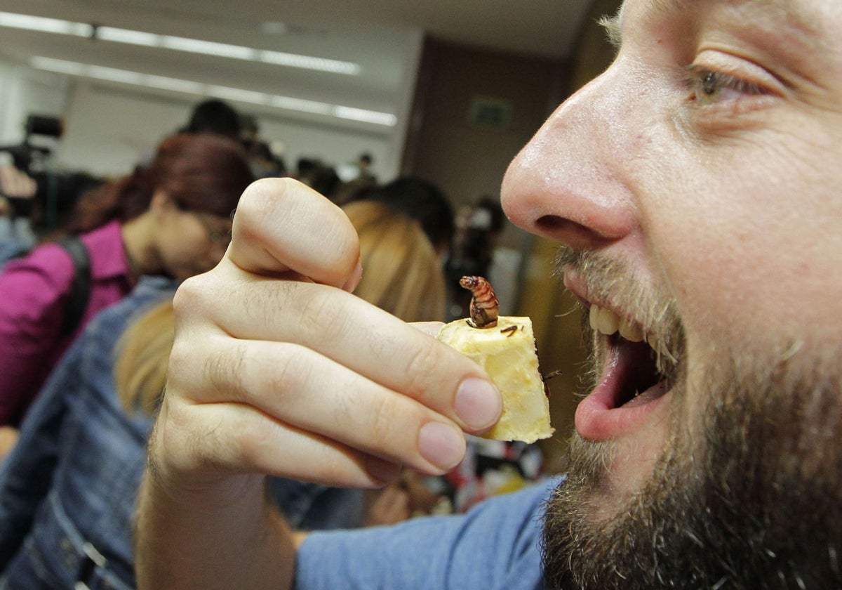 Un hombre se dispone a comer un canapé con un insecto.