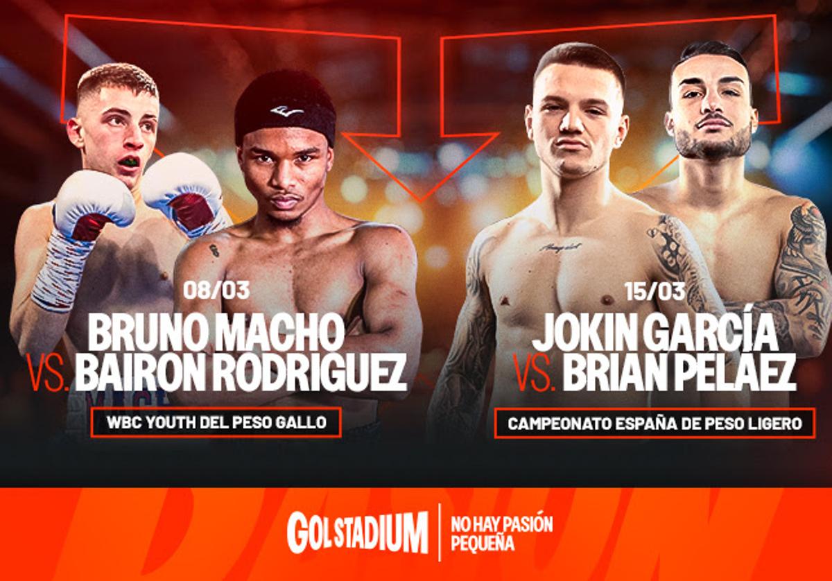 GolStadium se consolida como la plataforma de referencia para el boxeo nacional