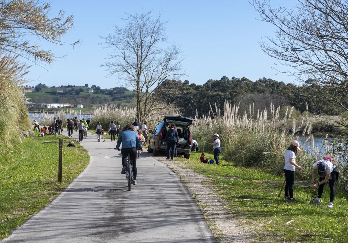 Vecinos participan en una campaña de plantación de árboles en 2022.