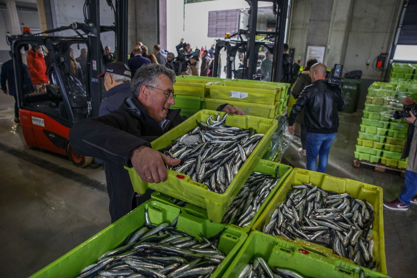 En Laredo se han descargado 35.000 kilos de bocarte este martes.