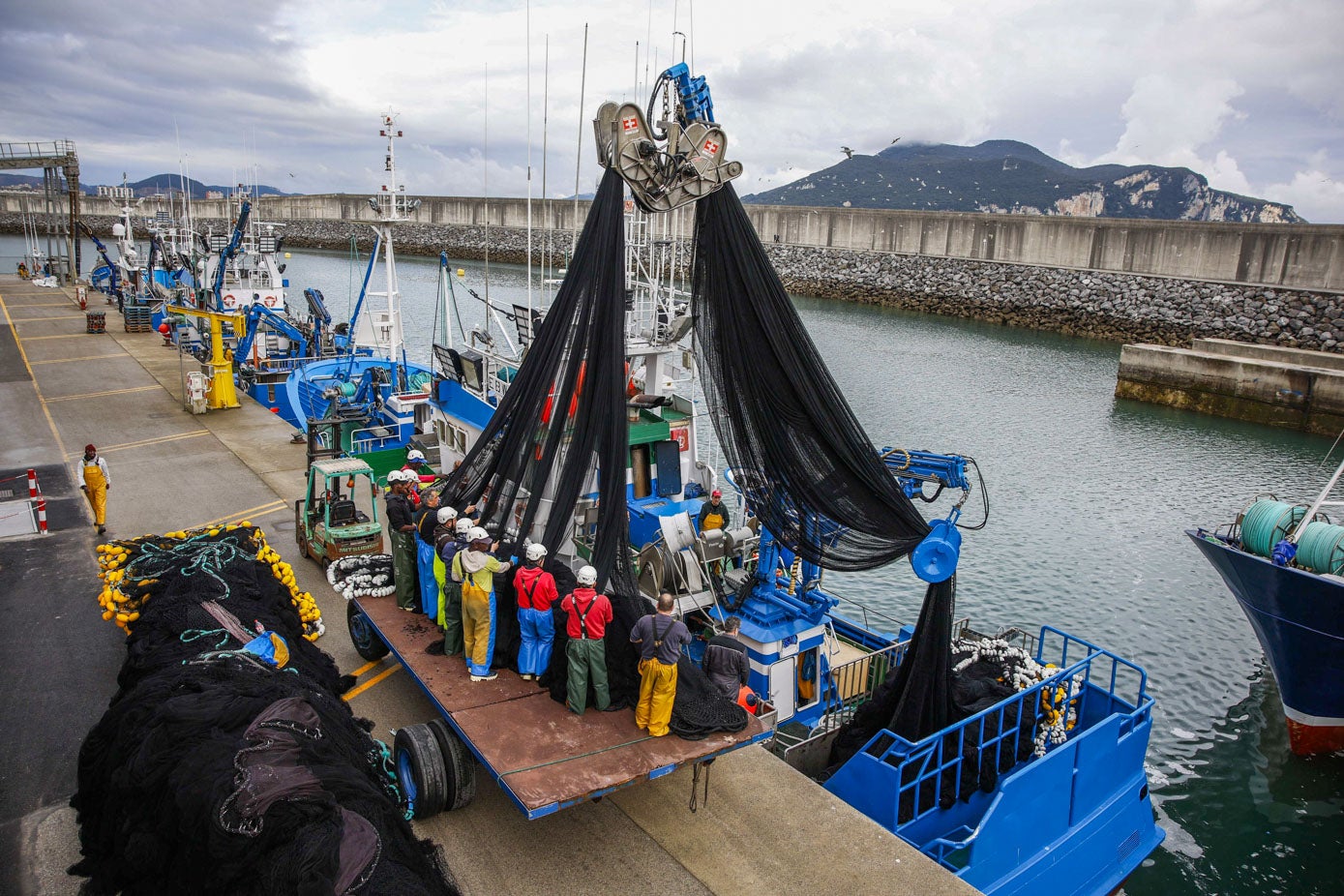 Esta es la escena que pudo verse esta mañana en el puerto de Laredo, con las cuatro embarcaciones que han participado en la jornada de pesca del bocarte.