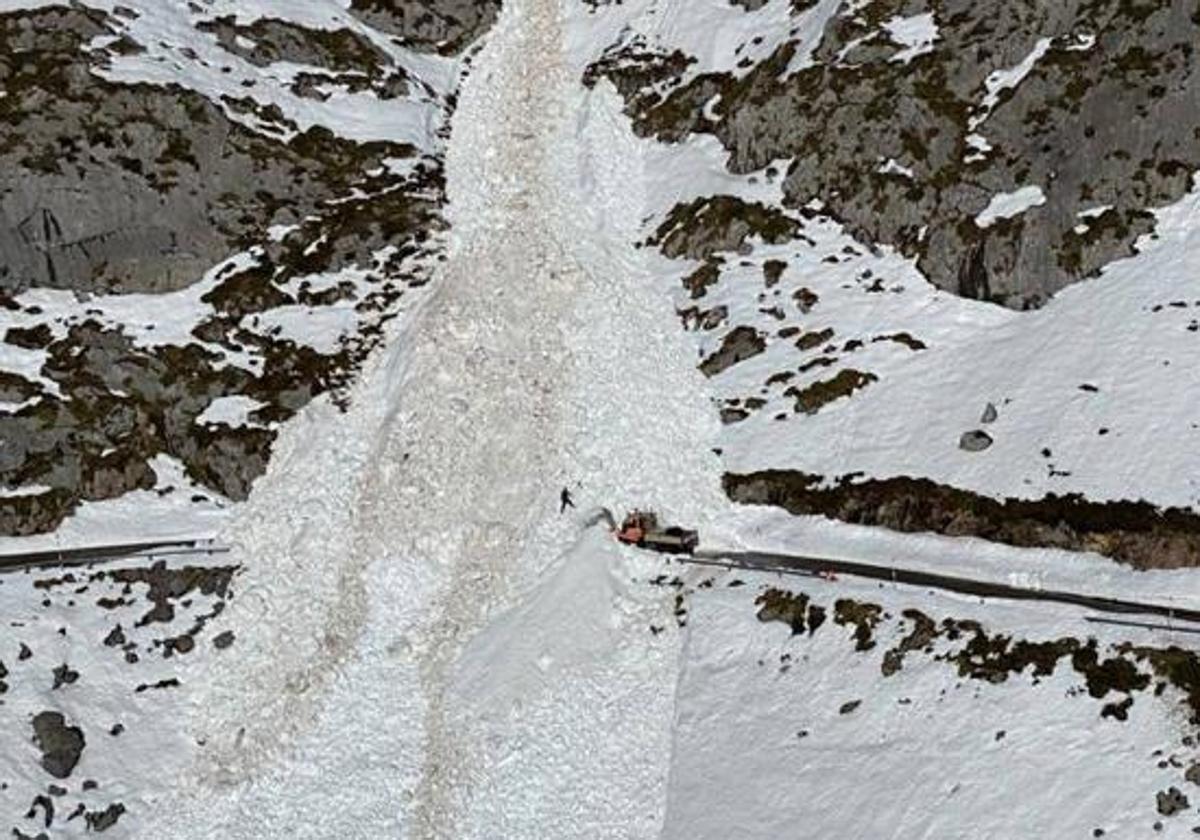 Imagen del alud que sepultó la carretera de acceso a Tresviso en enero de 2021.