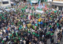 Silbatos, cencerros, tambores y camisetas verdes en una mañana de huelga y manifestación en Santander