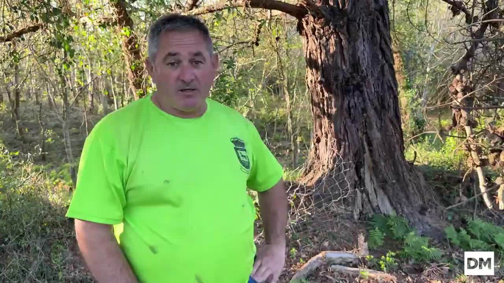 Ataque de lobo en Ruiloba