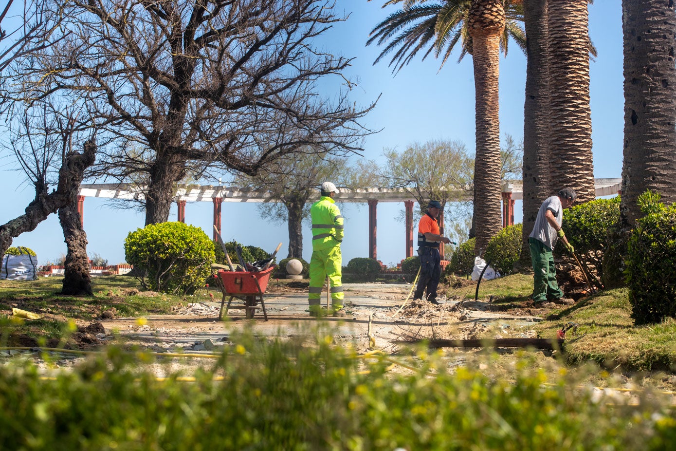 Los operarios están centrados actualmente en las áreas de jardín y aún no se está trabajando en el pavimento.