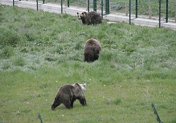 Estas son las cinco noticias del día en Cantabria