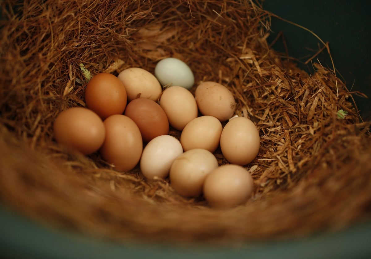 Cuidado con los huevos