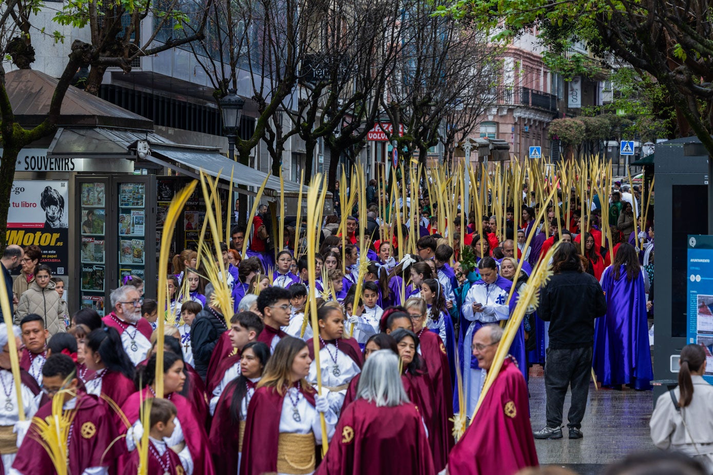 Jóvenes portan ramos de palma en la procesión.
