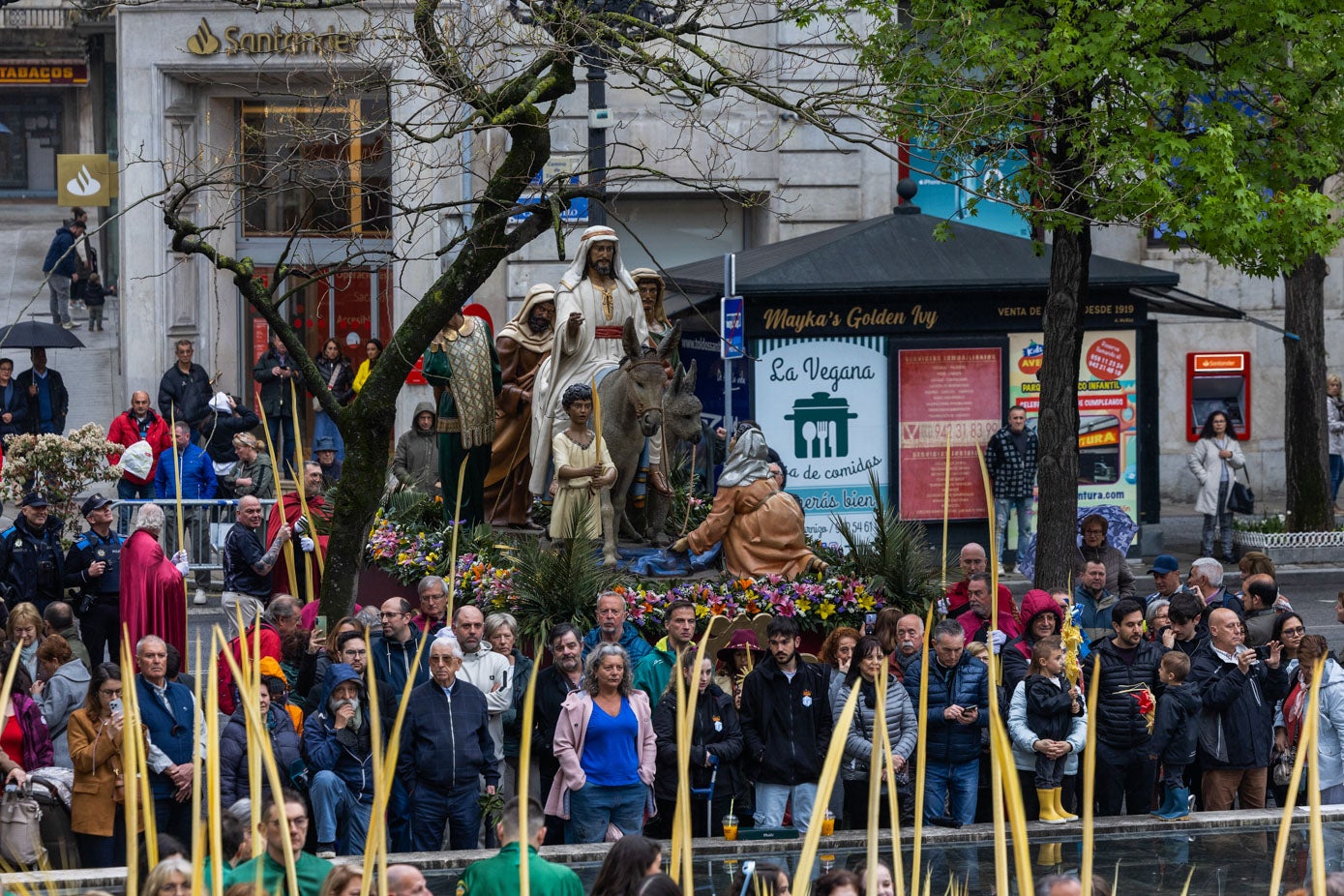 Numeroso público disfruta de la procesión matinal de este Domingo de Ramos en Santander.