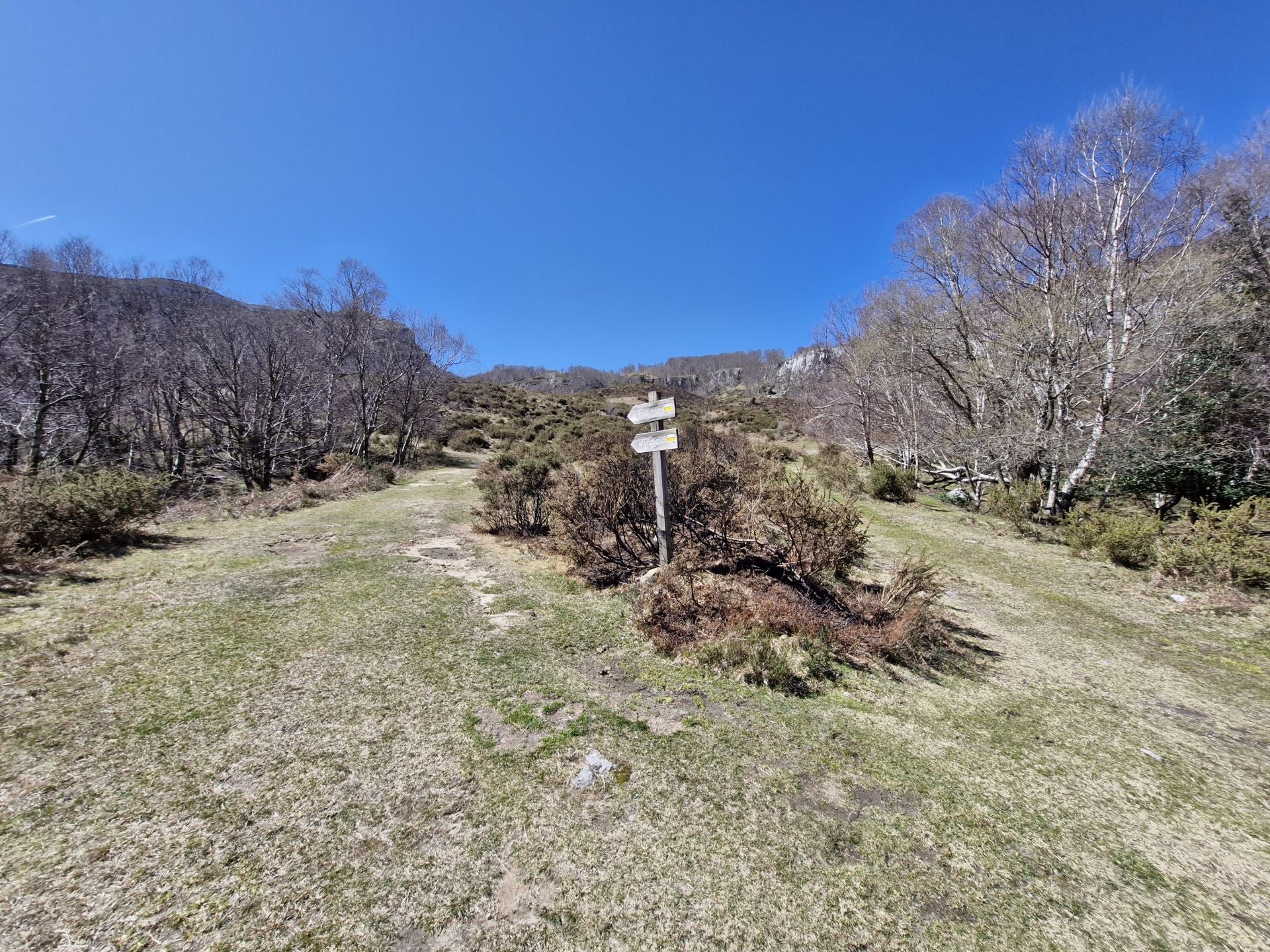 Otra señal en pleno monte indica el rumbo a seguir en un cruce de caminos.