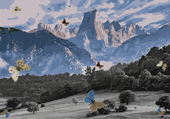 ¿Por qué ya no vemos tantas mariposas en Cantabria?