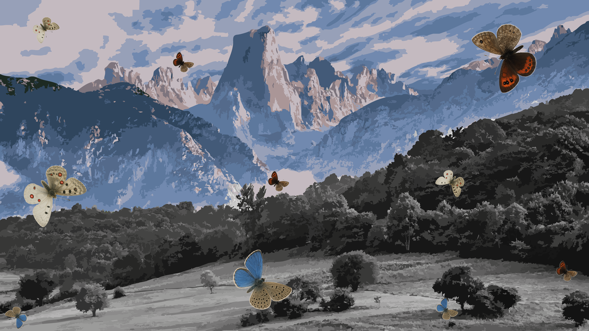 Ejemplares de mariposa que se pueden encontrar en Picos de Europa.