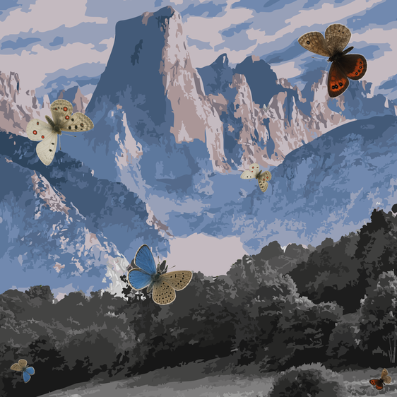 ¿Por qué ya no vemos tantas mariposas en Cantabria?