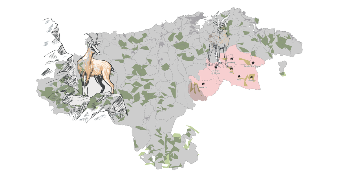 Mapa de Cantabria dónde hay población de esta especie en rojo.