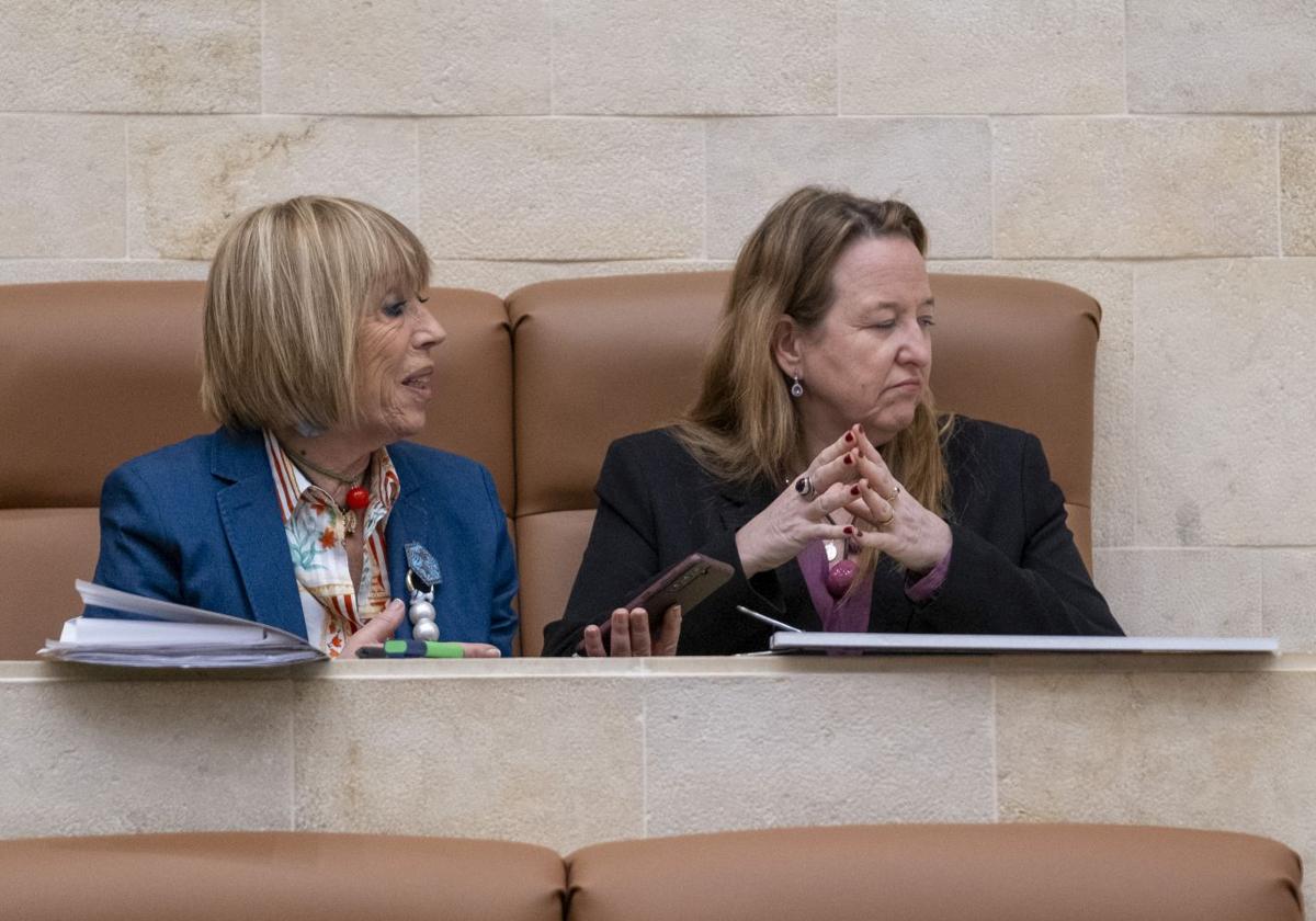 El Parlamento pide al Gobierno español que acuerde con los países de origen el retorno de menas