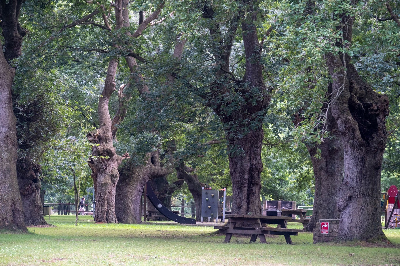 El Parque del Robledal es uno de los puntos de más afluencia de visitantes de la localidad.