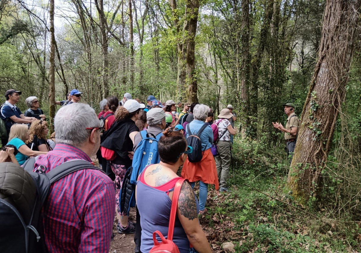 Bosques de Cantabria incluye el Valle de Cieza y Las Encartaciones en las rutas primaverales