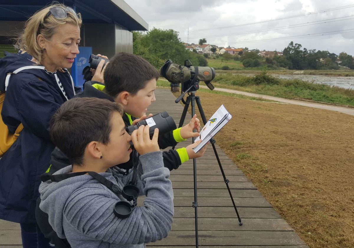 Talleres, carrera popular, paella y cuentacuentos en la Semana de las Familias de El Astillero