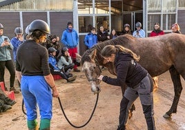 Alumnos del grado de Actividades Ecuestres hacen prácticas de doma en el CIFP La Granja de Heras.