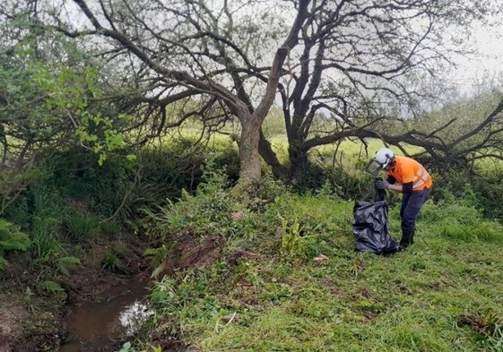 Un operario trabaja en el arroyo Borroñal de Hinojedo, Suances.