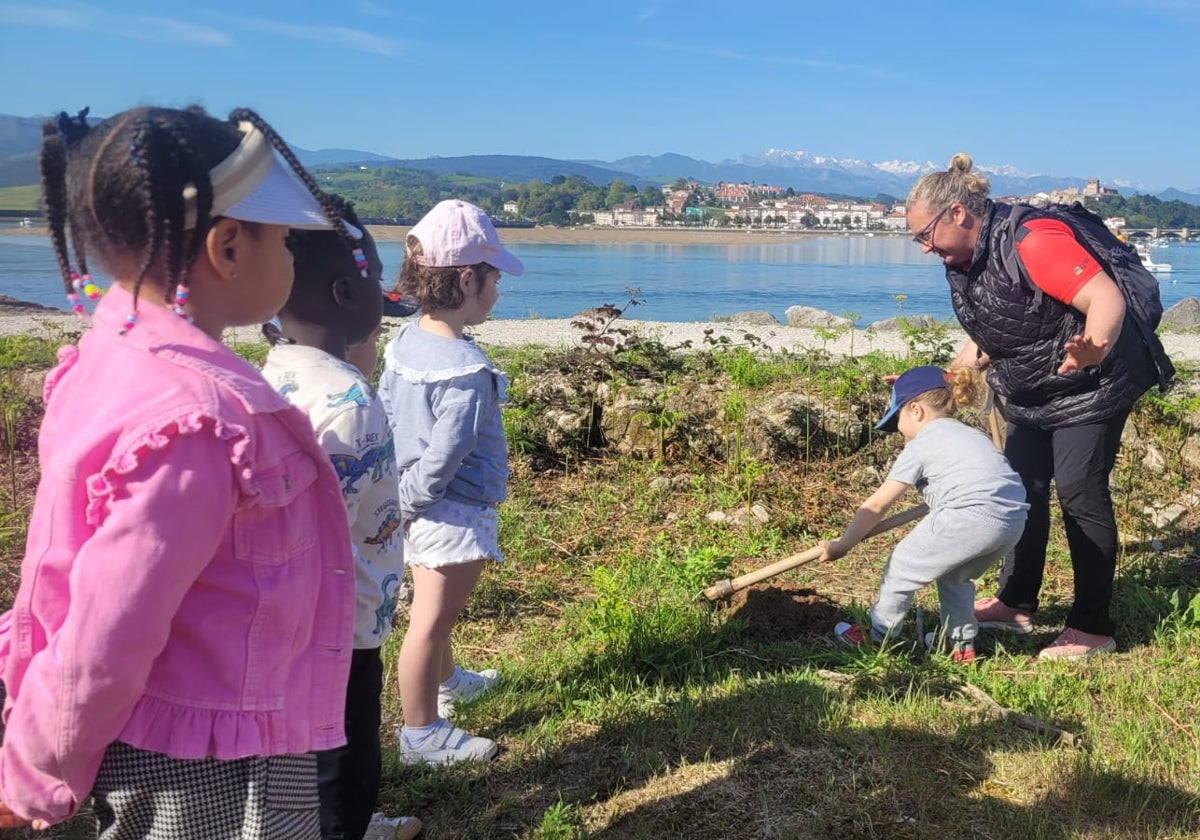 Los escolares colaboran para mejorar la biodiversidad en el Parque de Oyambre