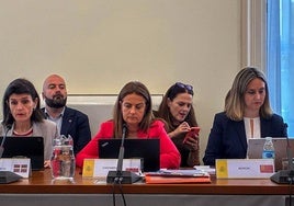 La consejera Begoña Gómez del Río, junto a las representantes de Murcia y País Vasco durante la reunión
