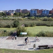 El Parque de Las Llamas acogerá actividades como anillamiento y observación de aves, observación de orquídeas y una yincana.