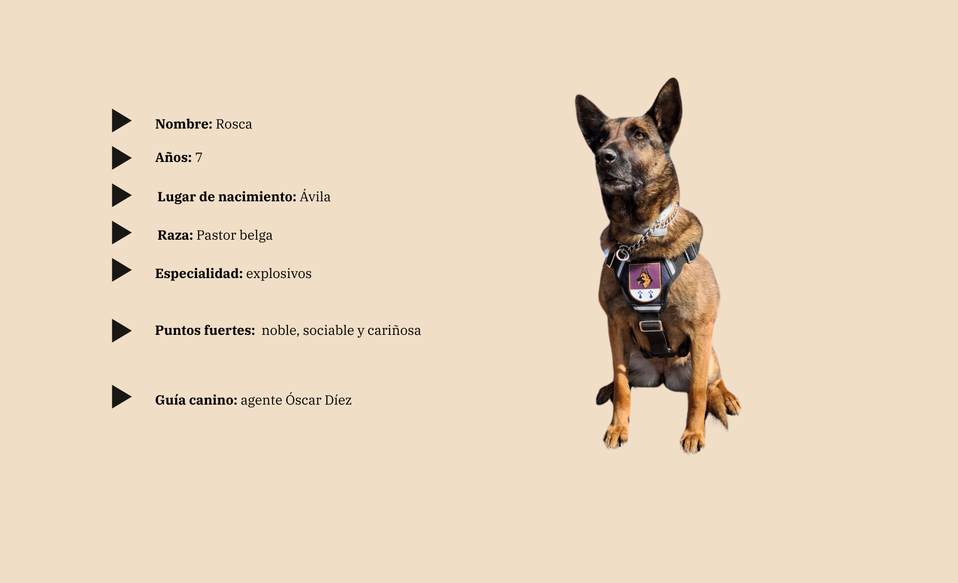 Scroll Story imagen 4