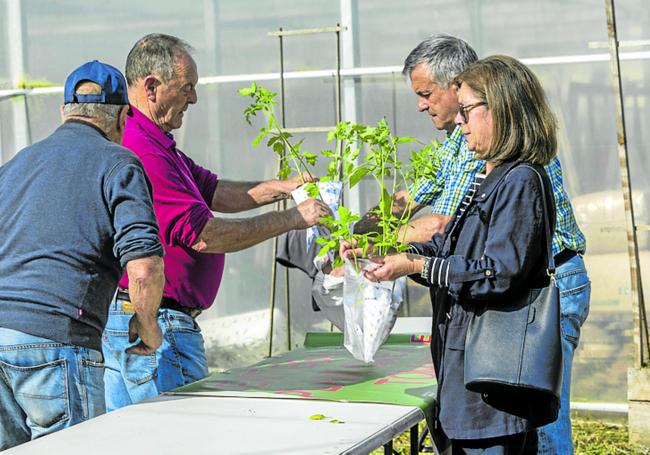 La gran entrega se realiza en colaboración con Simientes Infinitas.