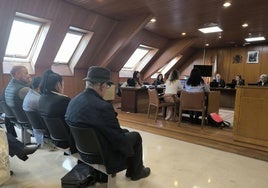 Este jueves han comparecido los peritos que han intervenido en el caso.