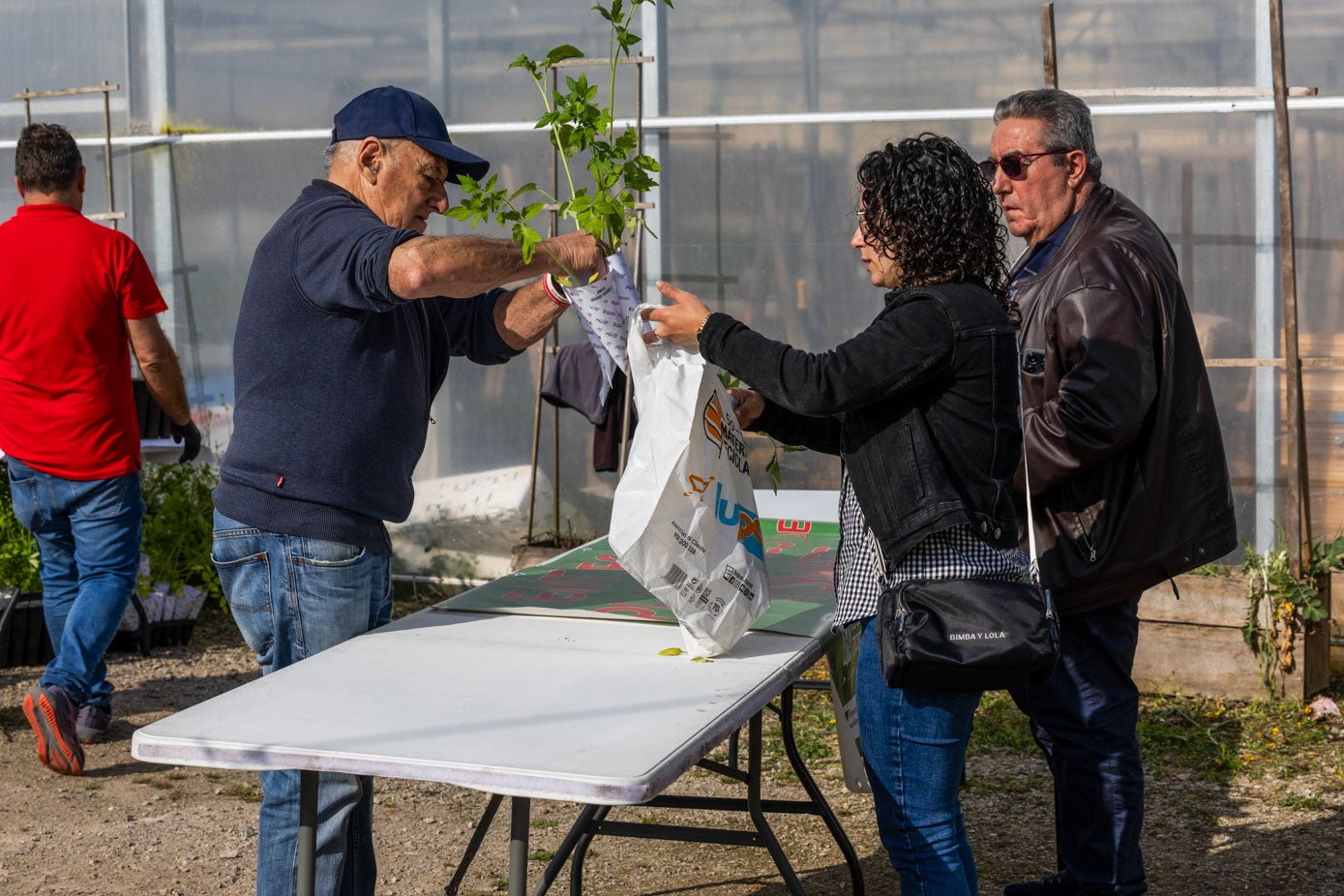 Los vecinos, llegados desde todos los pueblos y barrios, han acudido con sus bolsas para cargar con las plantas. 