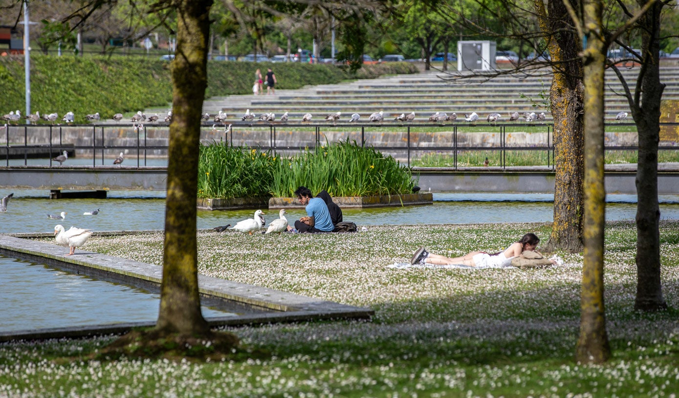 El Parque de Las Llamas alberga más de 150 especies de aves y los patos son algunos de los más visibles
