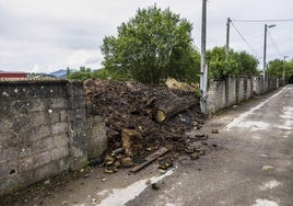 Uno de los boquetes que los saqueadores han realizado en el muro para acceder a Sniace.