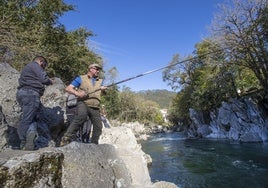 ¿Hay que vedar por completo el salmón?