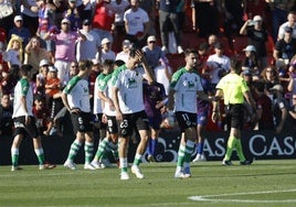 Meseguer y Andrés Martín, agotados y decepcionados al final del partido.