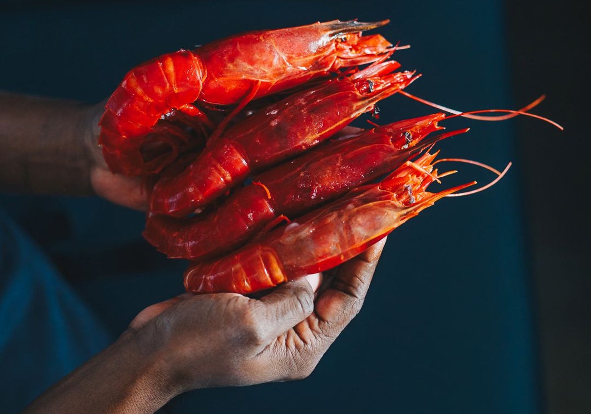 Imagen principal - Carabineros, sandwich «lobster roll» de bogavante y mejillones con leche de coco y curry.