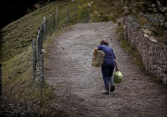 Una mujer usa una cambera en un pueblo de Cantabria.