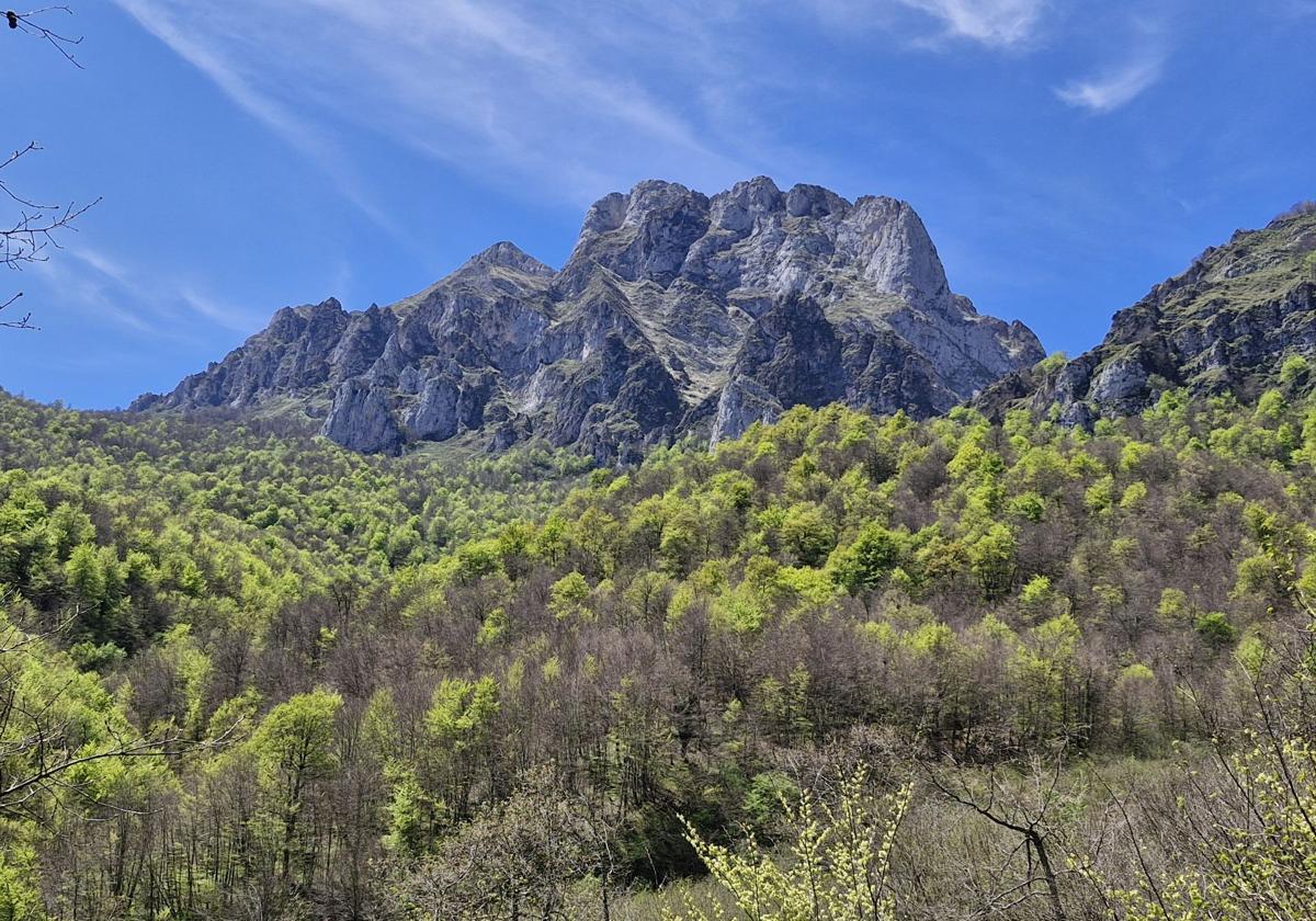 El bosque y las montañas que dejan sin palabras