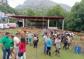 La Feria de Ganado de Mirones celebró ayer una nueva edición.