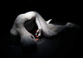 'El Nido' es un espectáculo de danza contemporánea japonesa de la compañía Ale Martí.