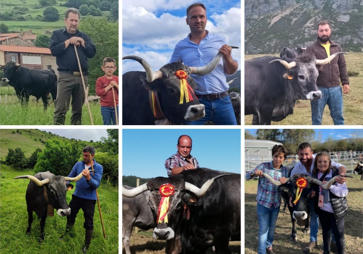 Ganaderos cántabros posan con las vacas tudancas que desfilarán este sábado.